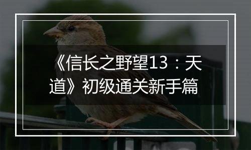 《信长之野望13：天道》初级通关新手篇