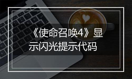 《使命召唤4》显示闪光提示代码