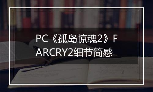 PC《孤岛惊魂2》FARCRY2细节简感