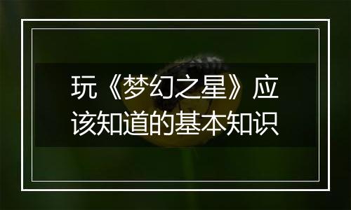 玩《梦幻之星》应该知道的基本知识