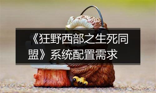 《狂野西部之生死同盟》系统配置需求