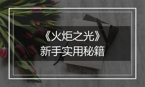 《火炬之光》新手实用秘籍