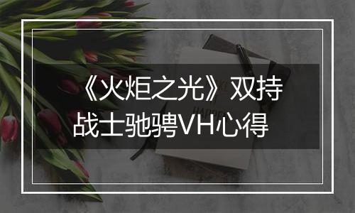 《火炬之光》双持战士驰骋VH心得