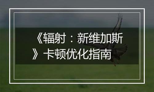 《辐射：新维加斯》卡顿优化指南