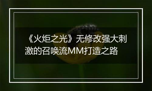 《火炬之光》无修改强大刺激的召唤流MM打造之路