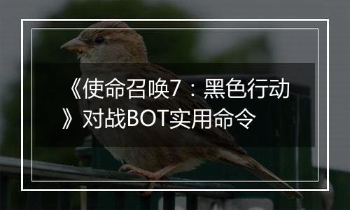 《使命召唤7：黑色行动》对战BOT实用命令
