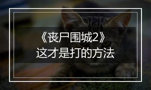 《丧尸围城2》这才是打的方法