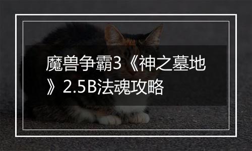 魔兽争霸3《神之墓地》2.5B法魂攻略