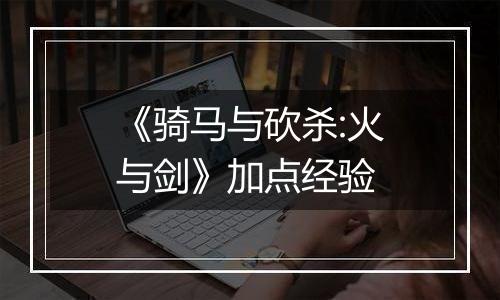 《骑马与砍杀:火与剑》加点经验