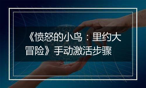 《愤怒的小鸟：里约大冒险》手动激活步骤