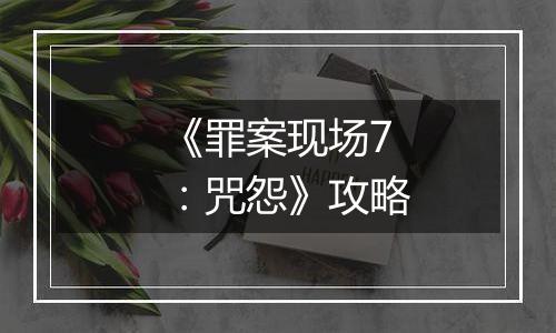 《罪案现场7：咒怨》攻略