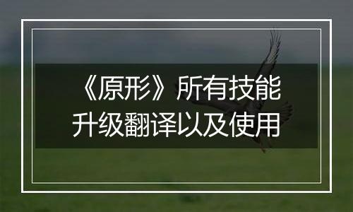 《原形》所有技能升级翻译以及使用