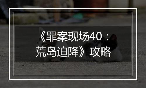 《罪案现场40：荒岛迫降》攻略