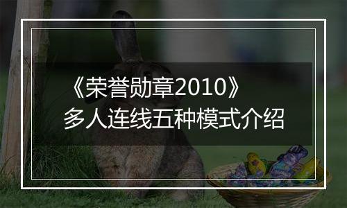《荣誉勋章2010》多人连线五种模式介绍