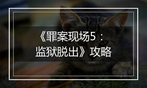 《罪案现场5：监狱脱出》攻略