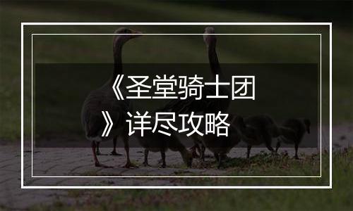 《圣堂骑士团》详尽攻略