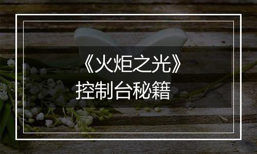 《火炬之光》控制台秘籍