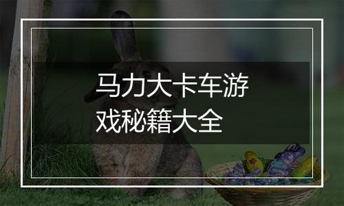 马力大卡车游戏秘籍大全