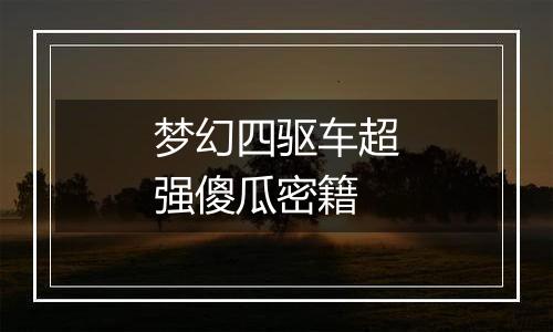 梦幻四驱车超强傻瓜密籍