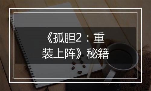 《孤胆2：重装上阵》秘籍