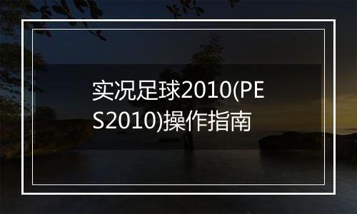 实况足球2010(PES2010)操作指南
