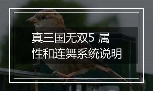 真三国无双5 属性和连舞系统说明