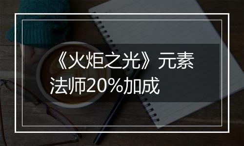 《火炬之光》元素法师20%加成