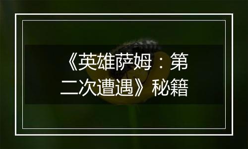 《英雄萨姆：第二次遭遇》秘籍