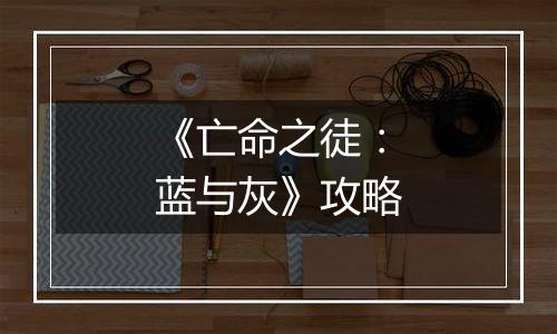 《亡命之徒：蓝与灰》攻略