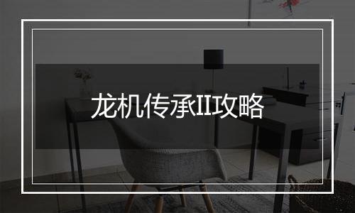 龙机传承II攻略