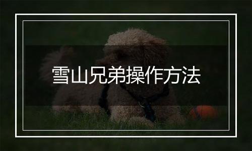 雪山兄弟操作方法