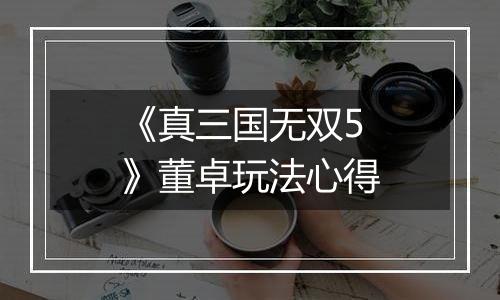 《真三国无双5》董卓玩法心得