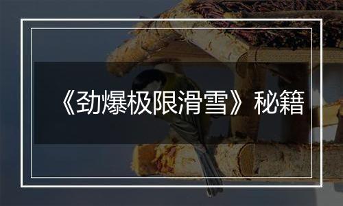 《劲爆极限滑雪》秘籍