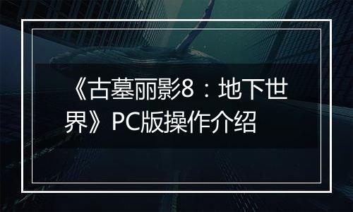 《古墓丽影8：地下世界》PC版操作介绍