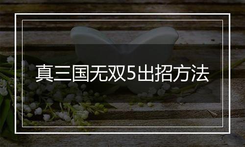真三国无双5出招方法