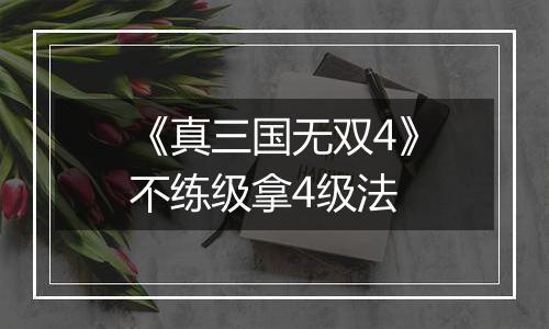 《真三国无双4》不练级拿4级法