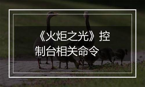 《火炬之光》控制台相关命令