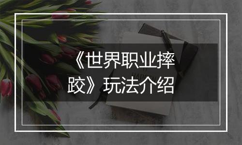 《世界职业摔跤》玩法介绍