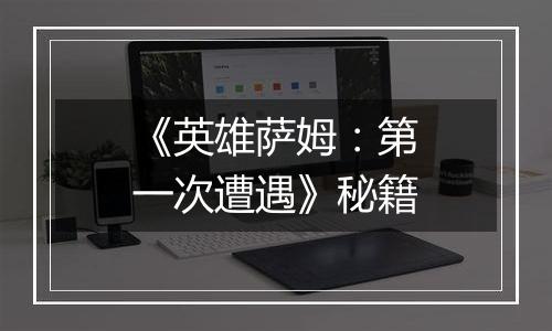 《英雄萨姆：第一次遭遇》秘籍