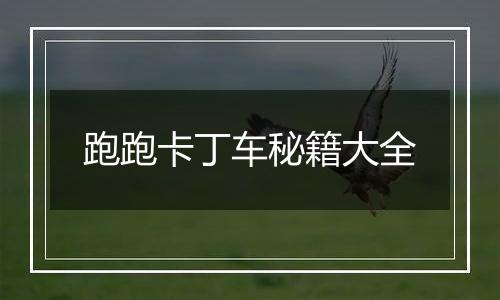 跑跑卡丁车秘籍大全