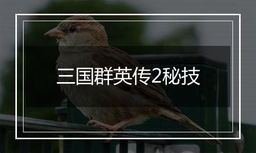 三国群英传2秘技