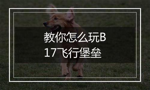 教你怎么玩B17飞行堡垒