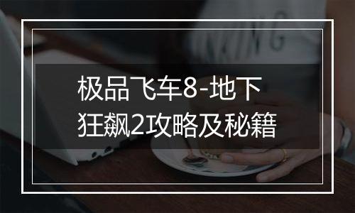 极品飞车8-地下狂飙2攻略及秘籍