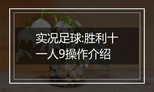 实况足球:胜利十一人9操作介绍