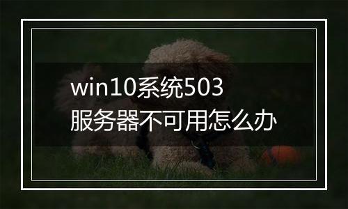 win10系统503服务器不可用怎么办